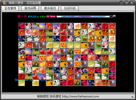 花花连连看单机版